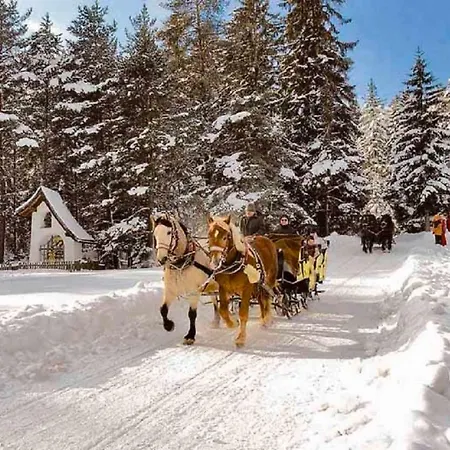 Appartmenthaus Birkenwald 아파트 *